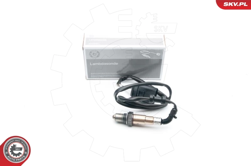 Oxygen Sensor